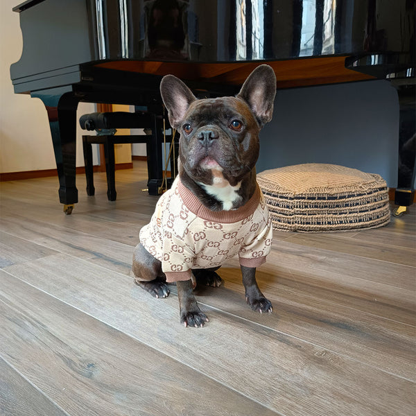 Maglione elegante per cani - beige - luxury