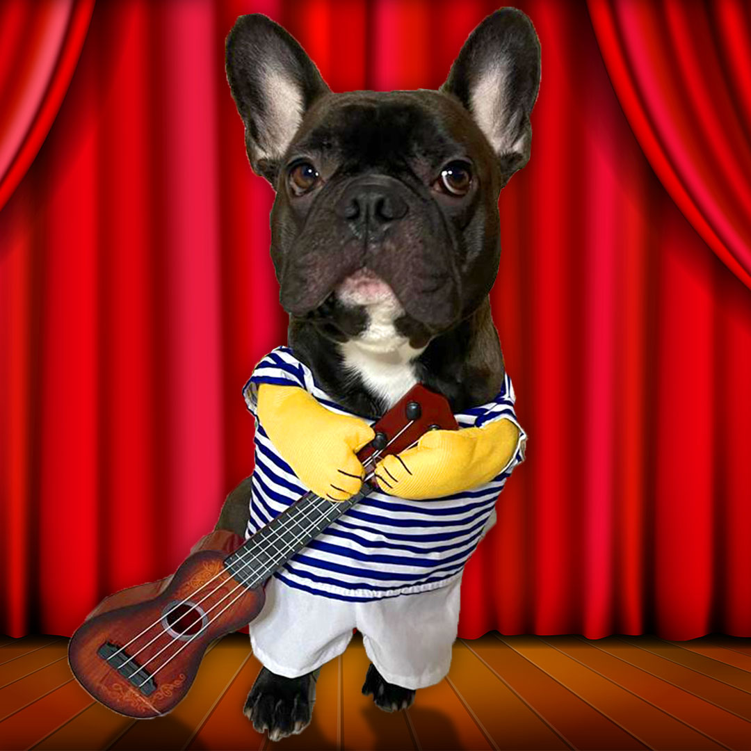 Chitarra Vestiti Divertenti Per Cani Per Cani Vestiti Carnevale