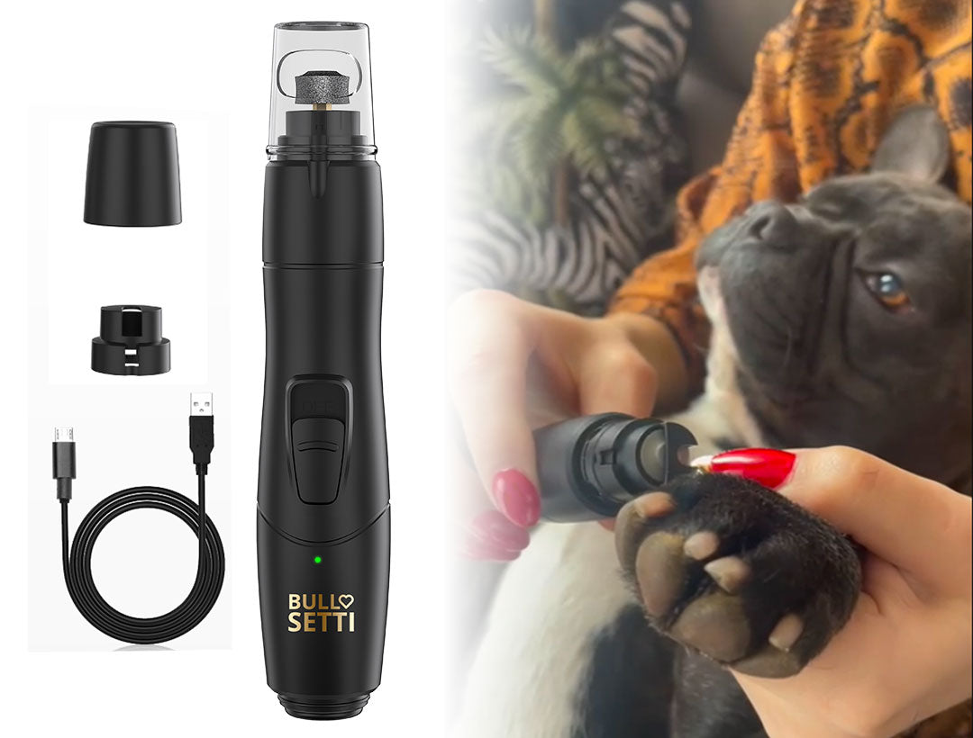 Tagliare le unghie al cane: la nostra esperienza