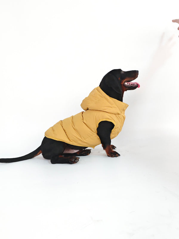 Caldo smanicato con cappuccio - mod.Casius - ecosostenibile - ocra