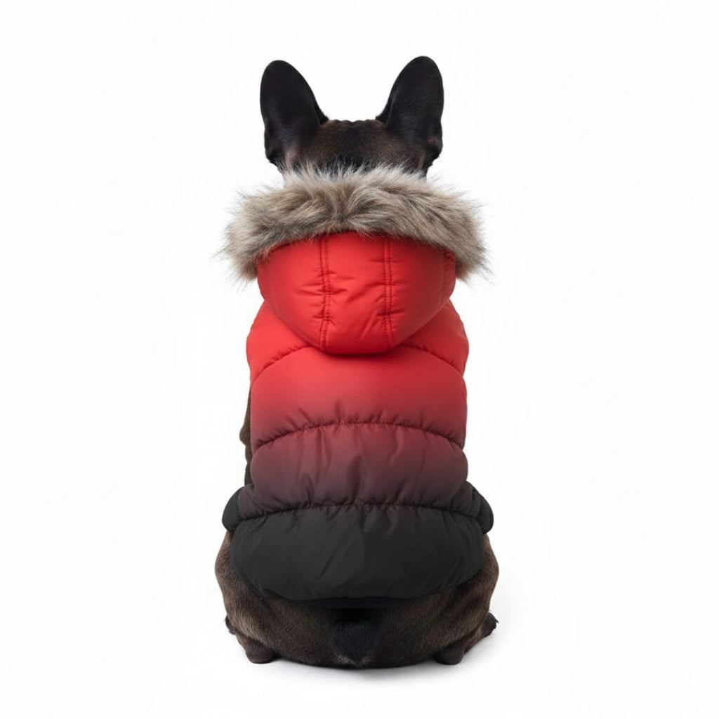 Dog Fur Hooded Padded Bomber Jacket - 3 Colors