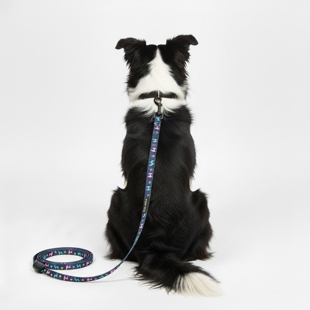 Kein ProblemLAMA-Leine – 140 cm – FuzzYard