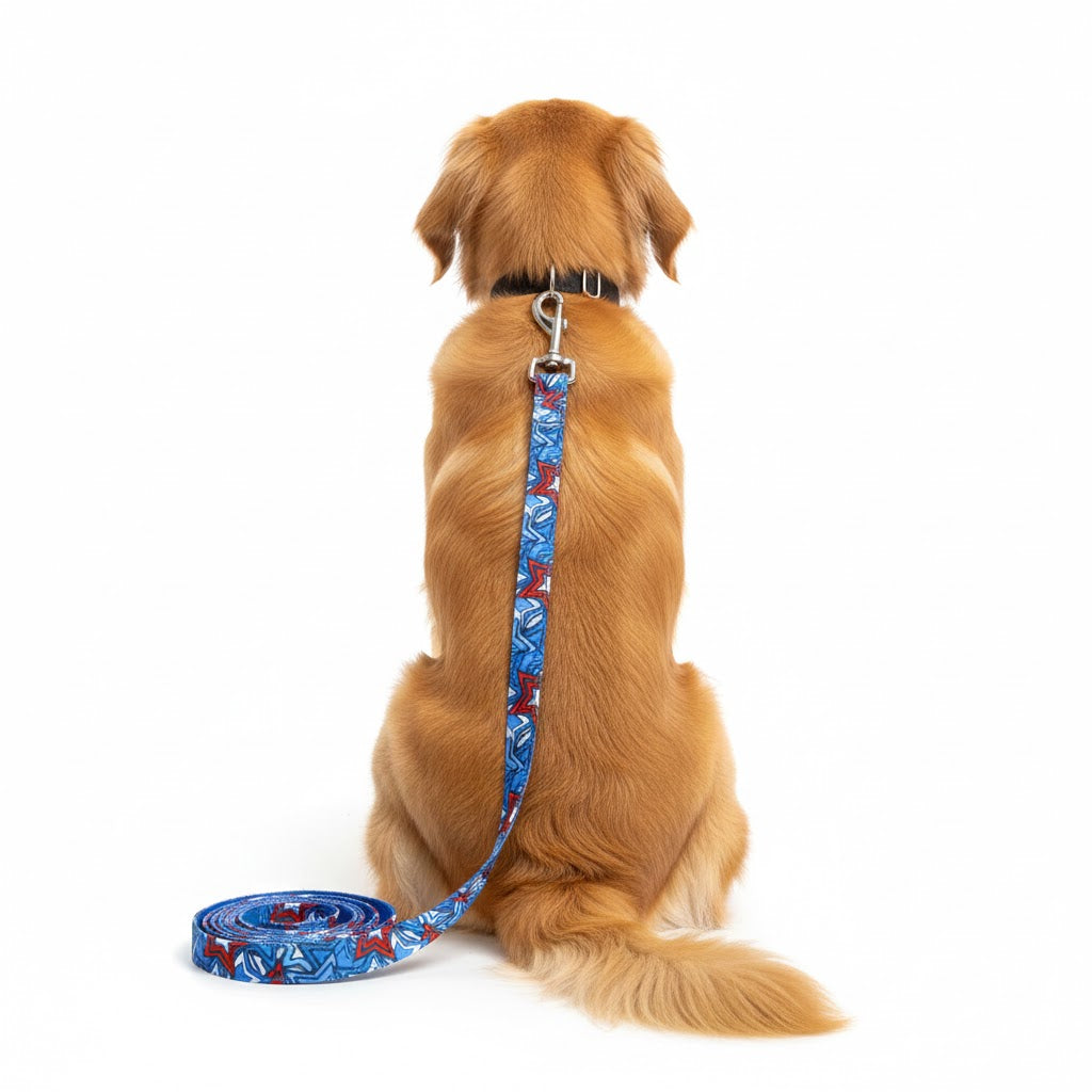 Hero Star Leine – Urban Pup