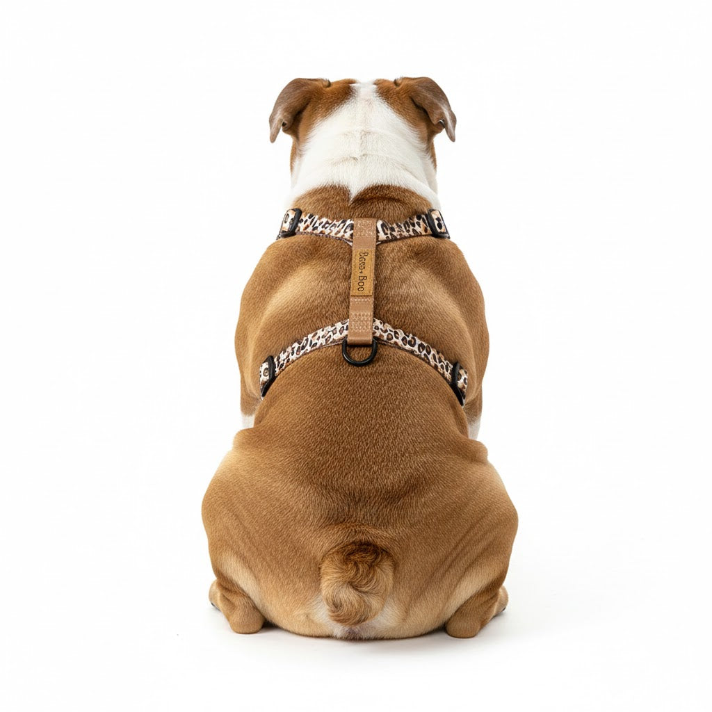 Luxe Leopard H-harness - Boss &amp; Boo brand 
