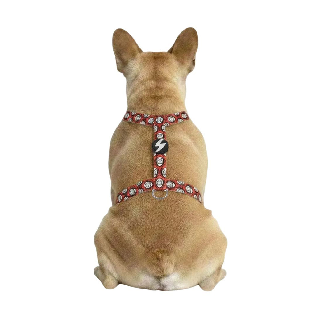 H-shaped harness - La Casa de Papel
