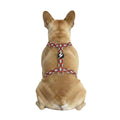 H-shaped harness - La Casa de Papel
