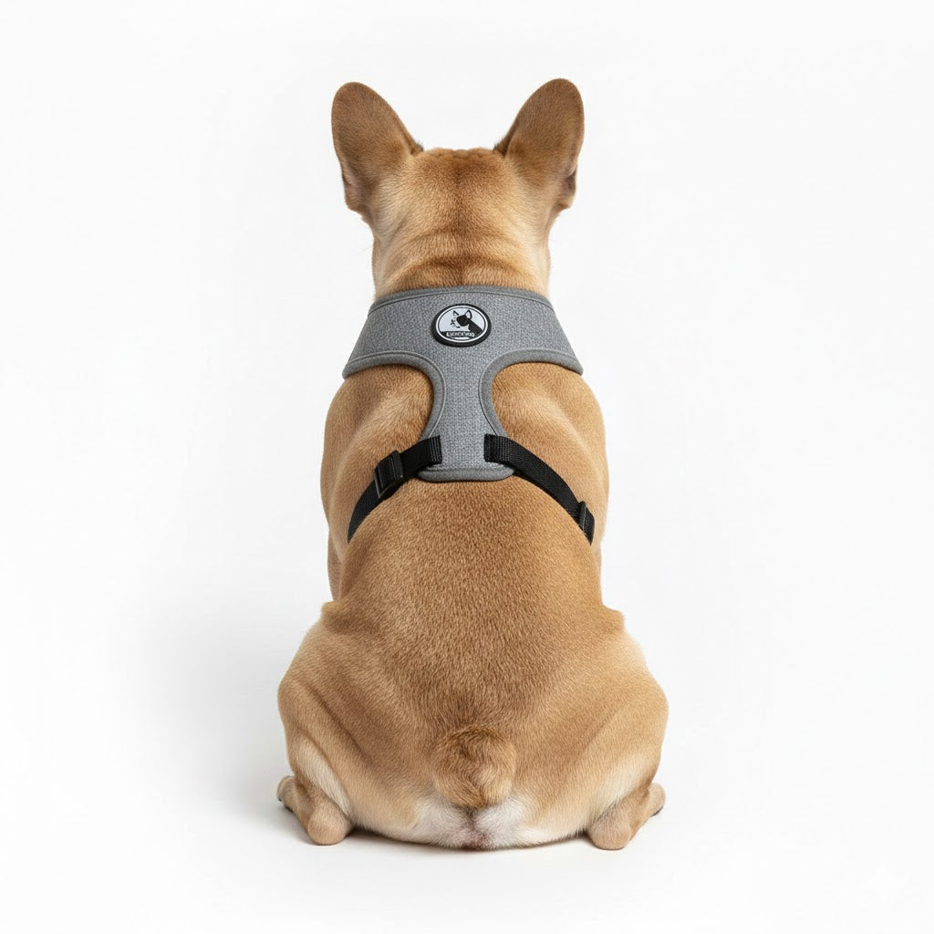 Pettorina grigia - mod. Sampei - grigia o rosa