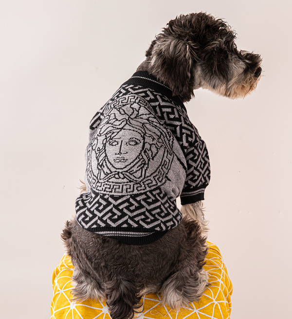 Elegant dog sweater - beige - luxury