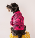 Elegant dog sweater - beige - luxury