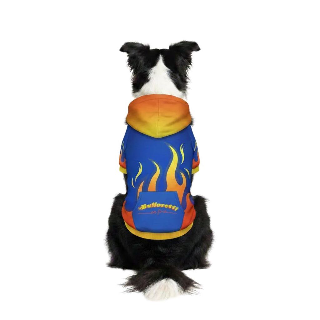 FIRE Kapuzenpullover – mit Reißverschluss und Ärmeln