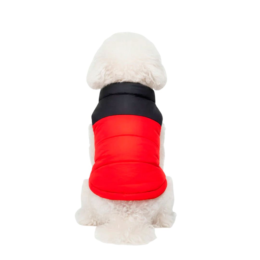 Gilet impermeabile  imbottito nero e rosso - The Dog Fans - da 3 a 35kg