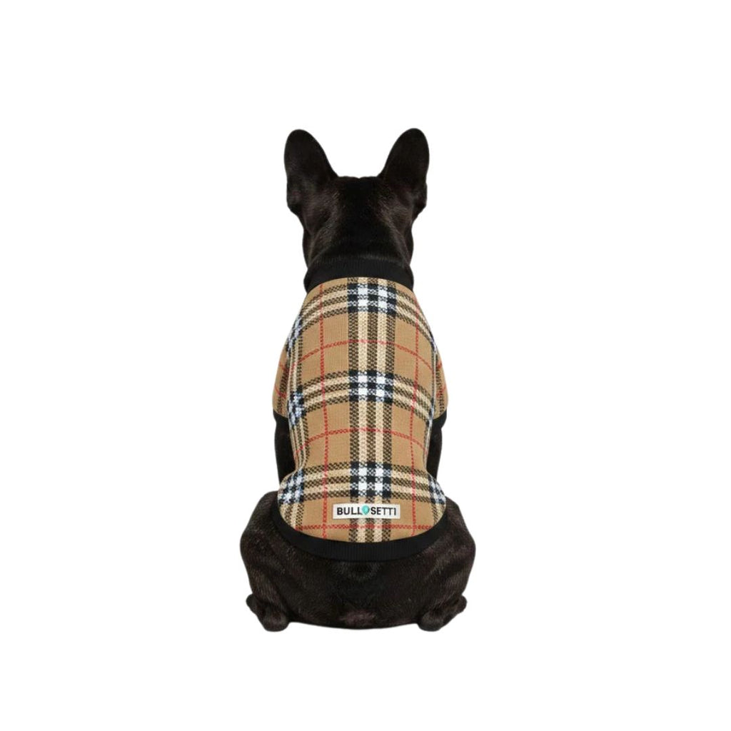 Turtleneck sweater for dogs - Bownie style