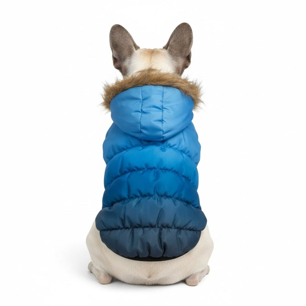 Dog Fur Hooded Padded Bomber Jacket - 3 Colors