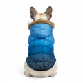 Dog Fur Hooded Padded Bomber Jacket - 3 Colors