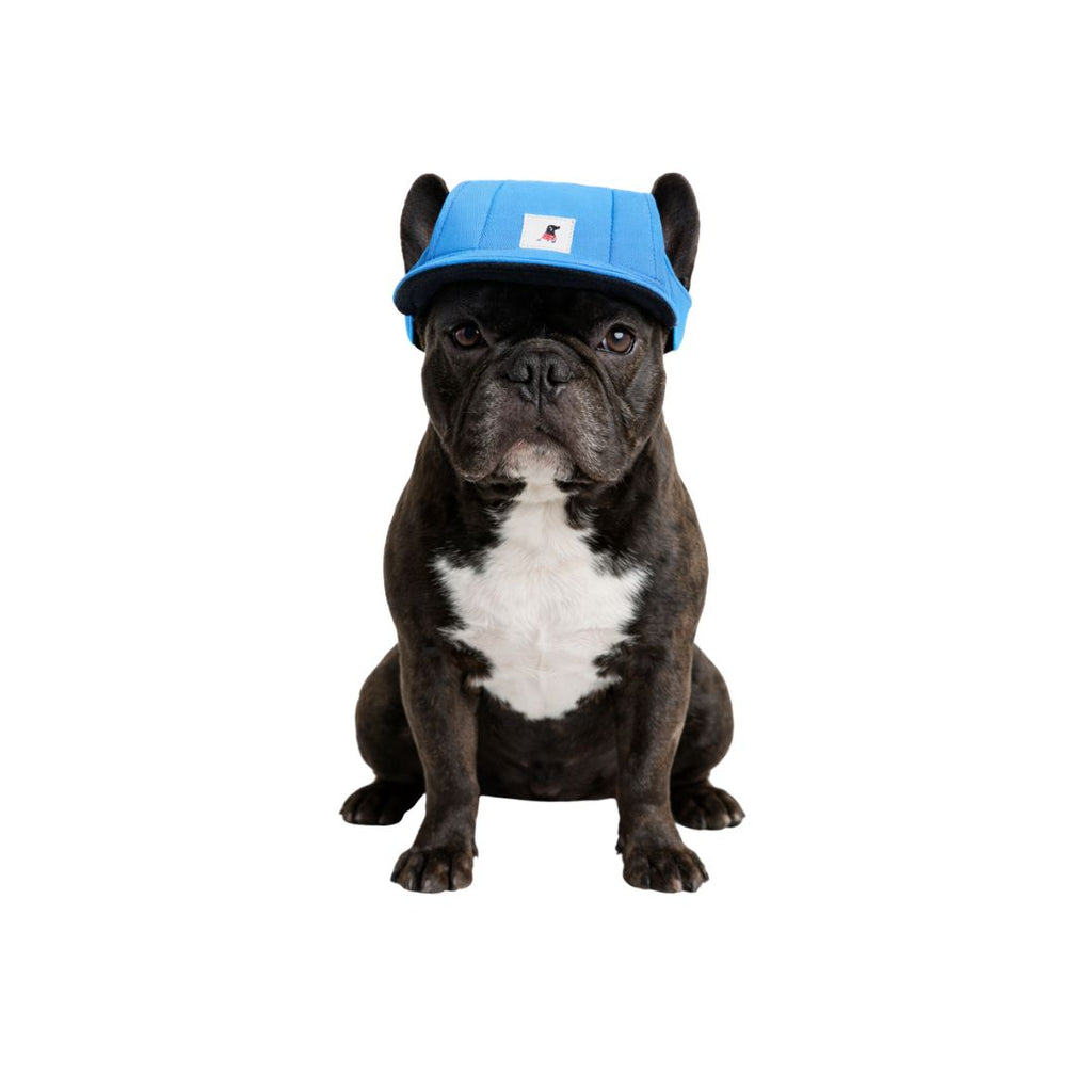 Hundemütze – 3 Größen – 2 Farben