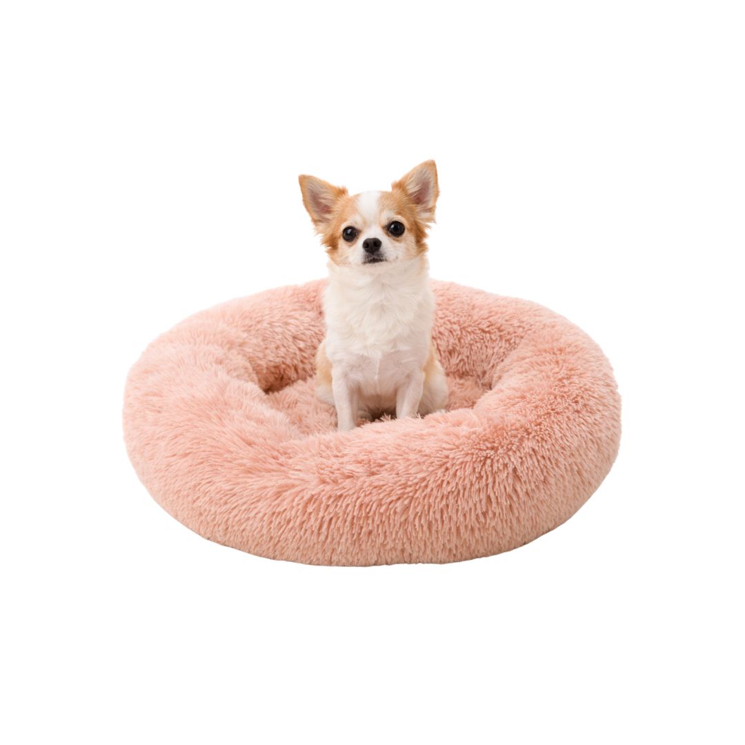 Pelzige Hundehütte für Tyrannen!