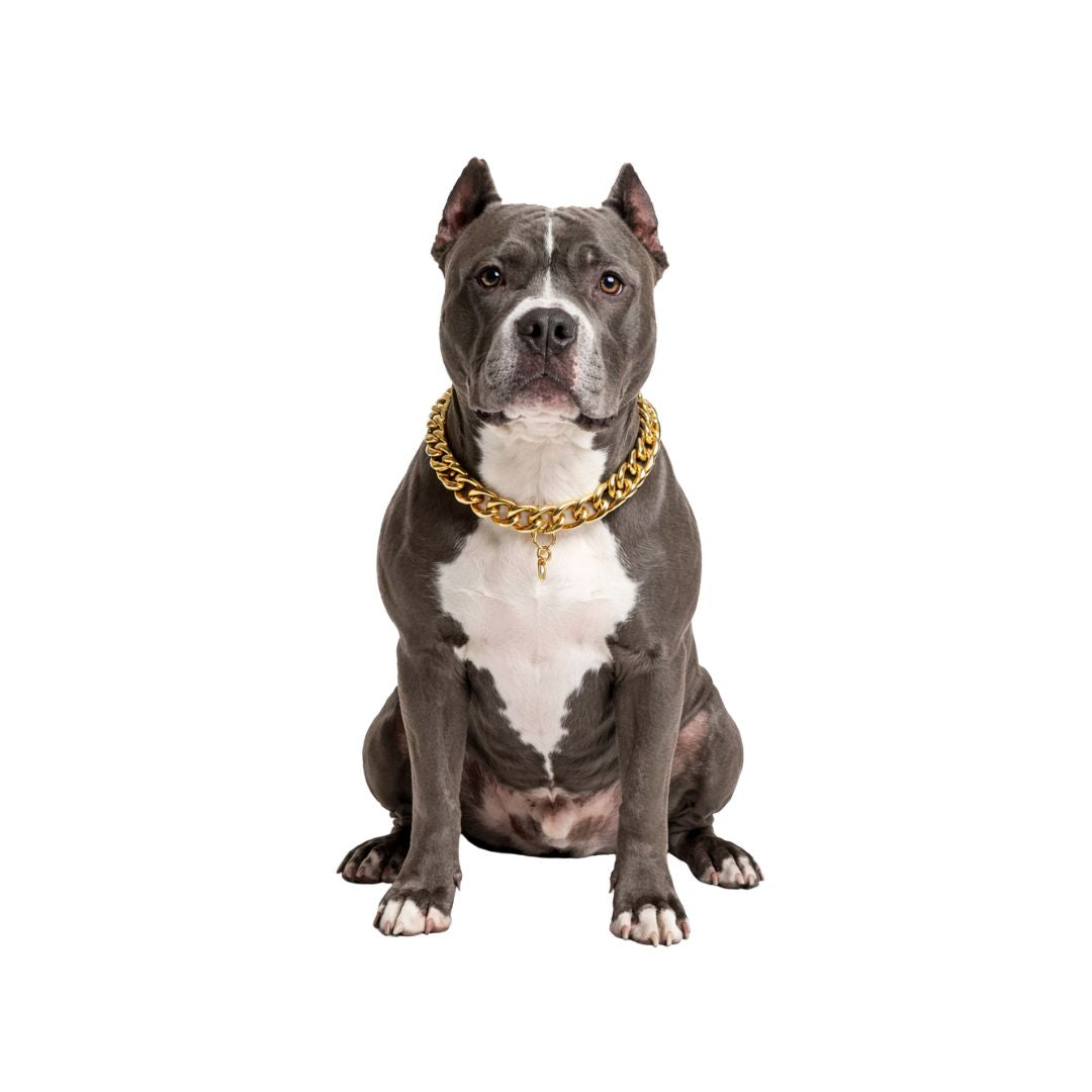 Bullosetti goldfarbene Halskette