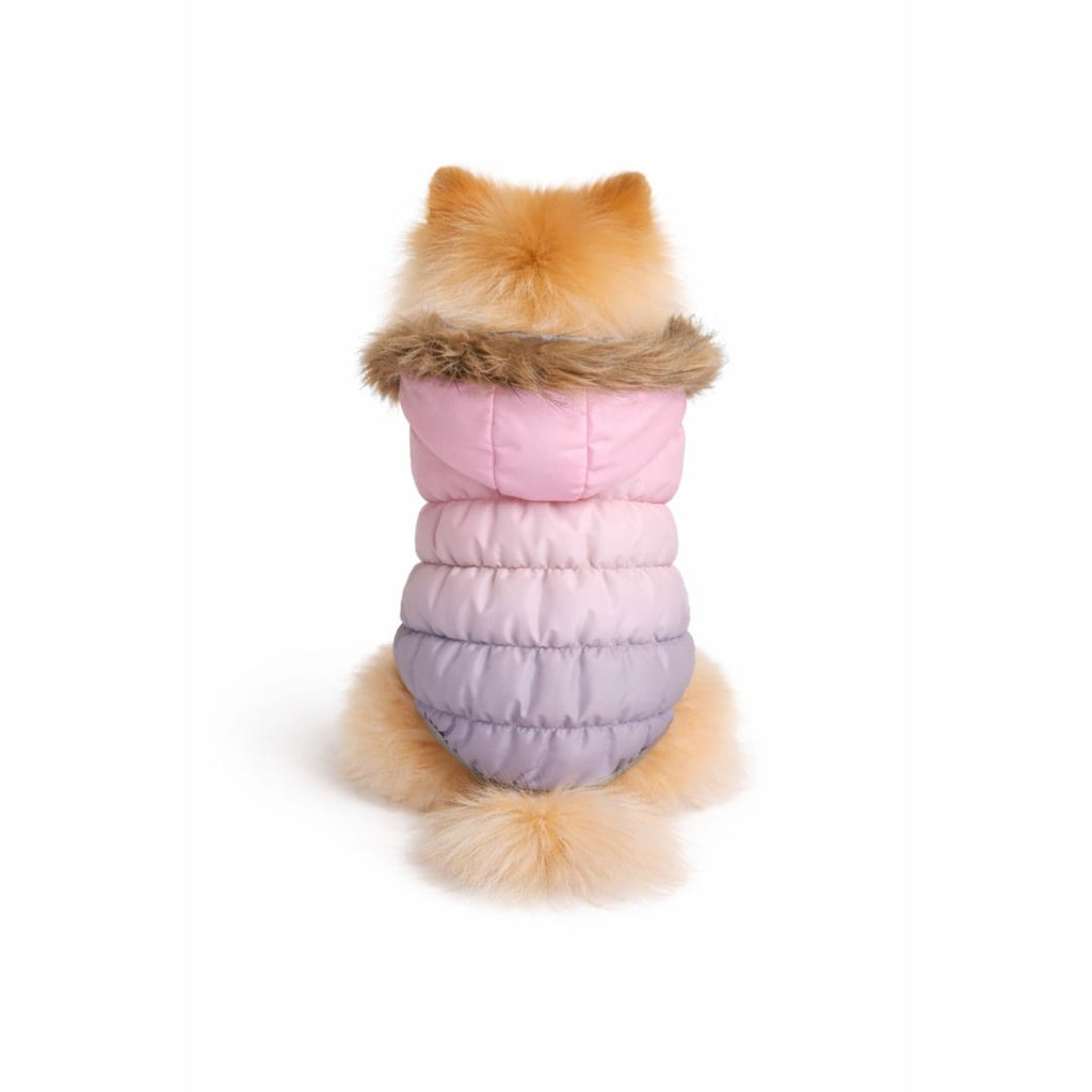 Dog Fur Hooded Padded Bomber Jacket - 3 Colors
