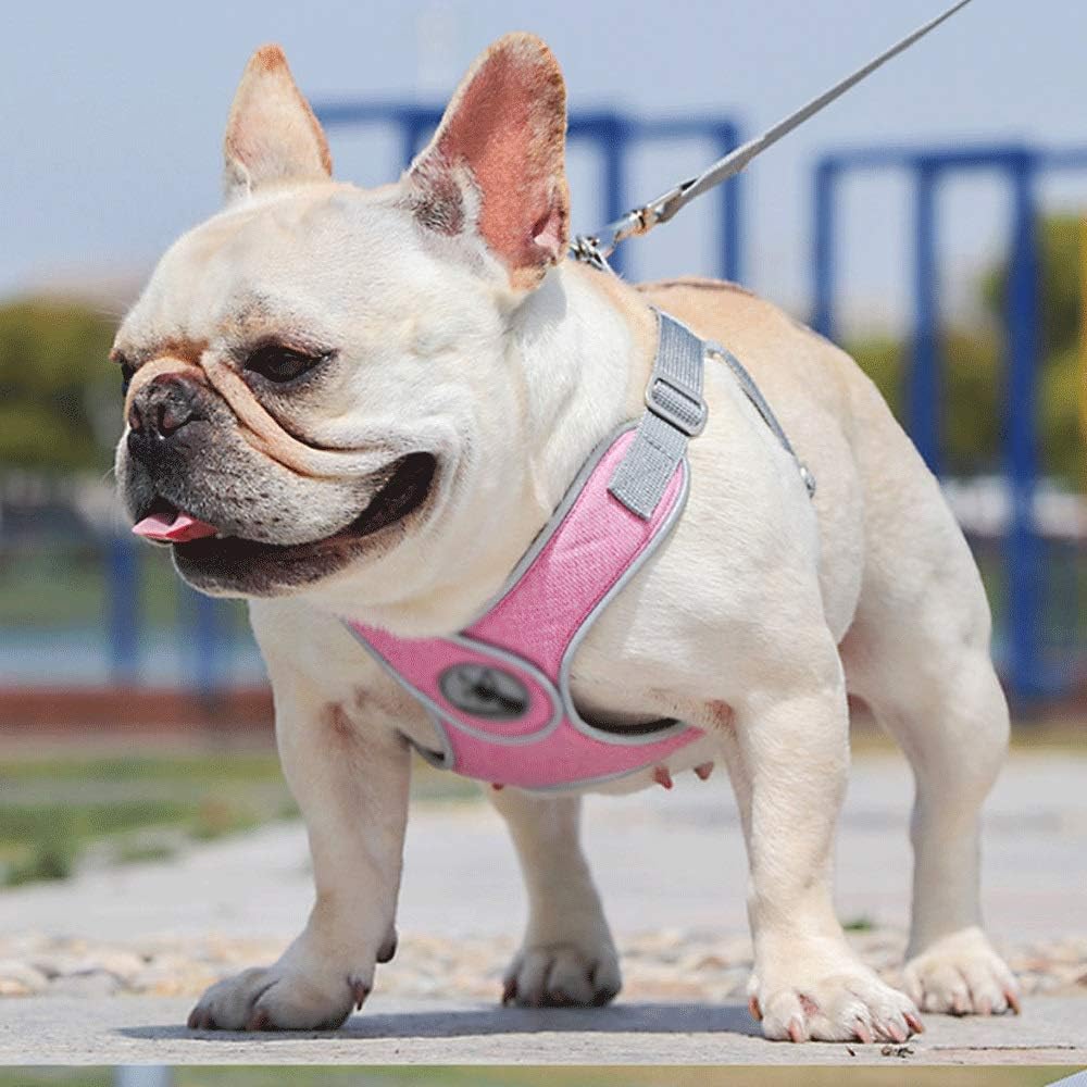 Pettorina grigia - mod. Sampei - grigia o rosa