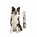 Dry shampoo for dogs and cats