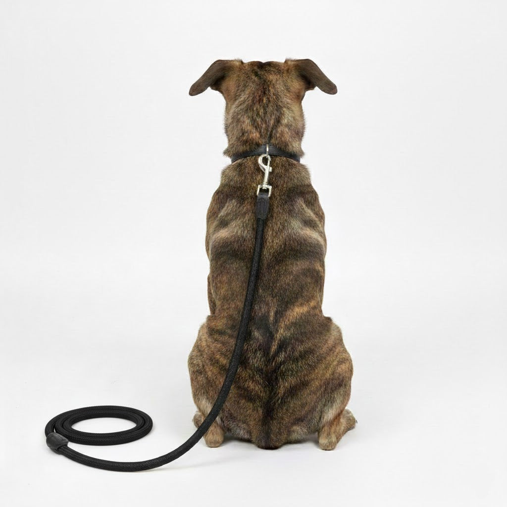 Elegante schwarze Nylonleine – 150 cm