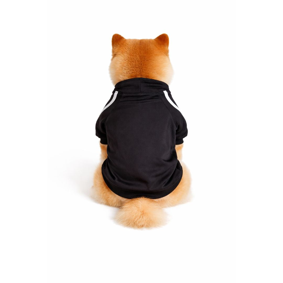 Schwarzes Sweatshirt „The Dog Face“ – Bullosetti