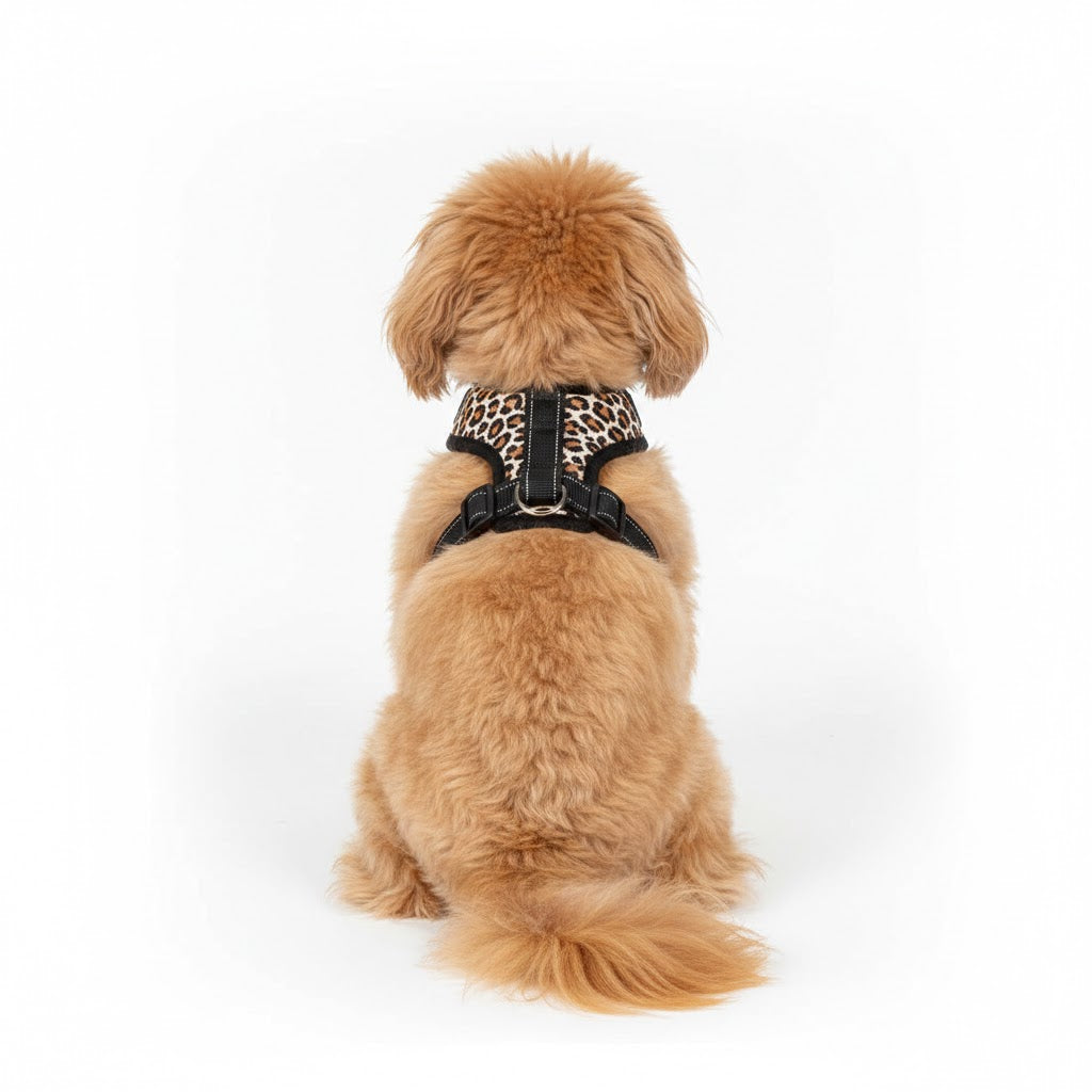 Spotted harness - for dogs from 2 to 40kg - mod.Calà