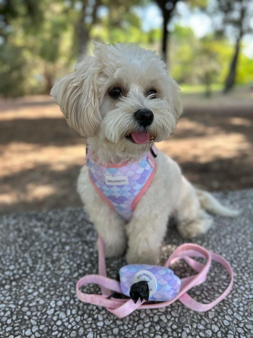 Harness + leash + bag holder mod. Little Mermaid