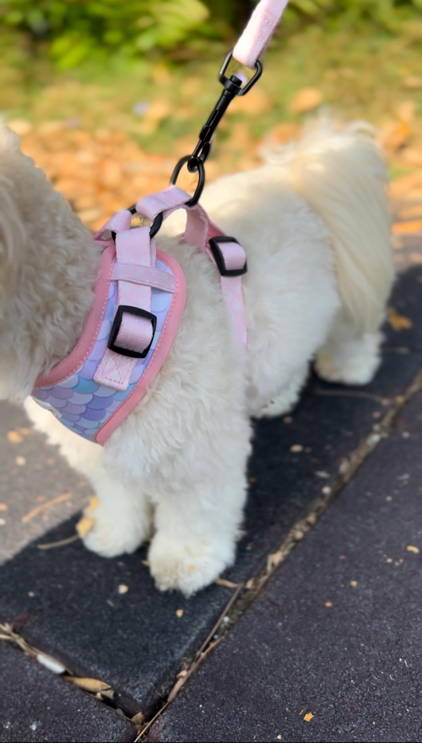 Harness + leash + bag holder mod. Little Mermaid