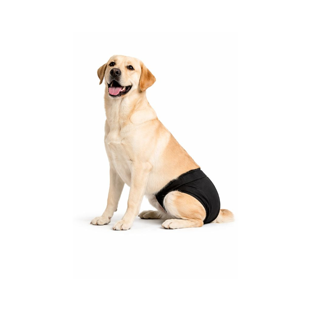 Hygienic underwear for dogs
