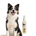 Profumo per cani - vaniglia e mandarino - 120ml - linea Carezze