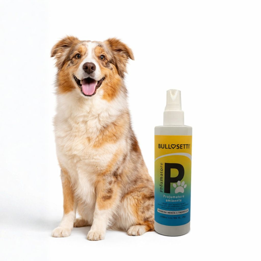 Profumatore per ambienti - igienizza e profuma - made in Italy