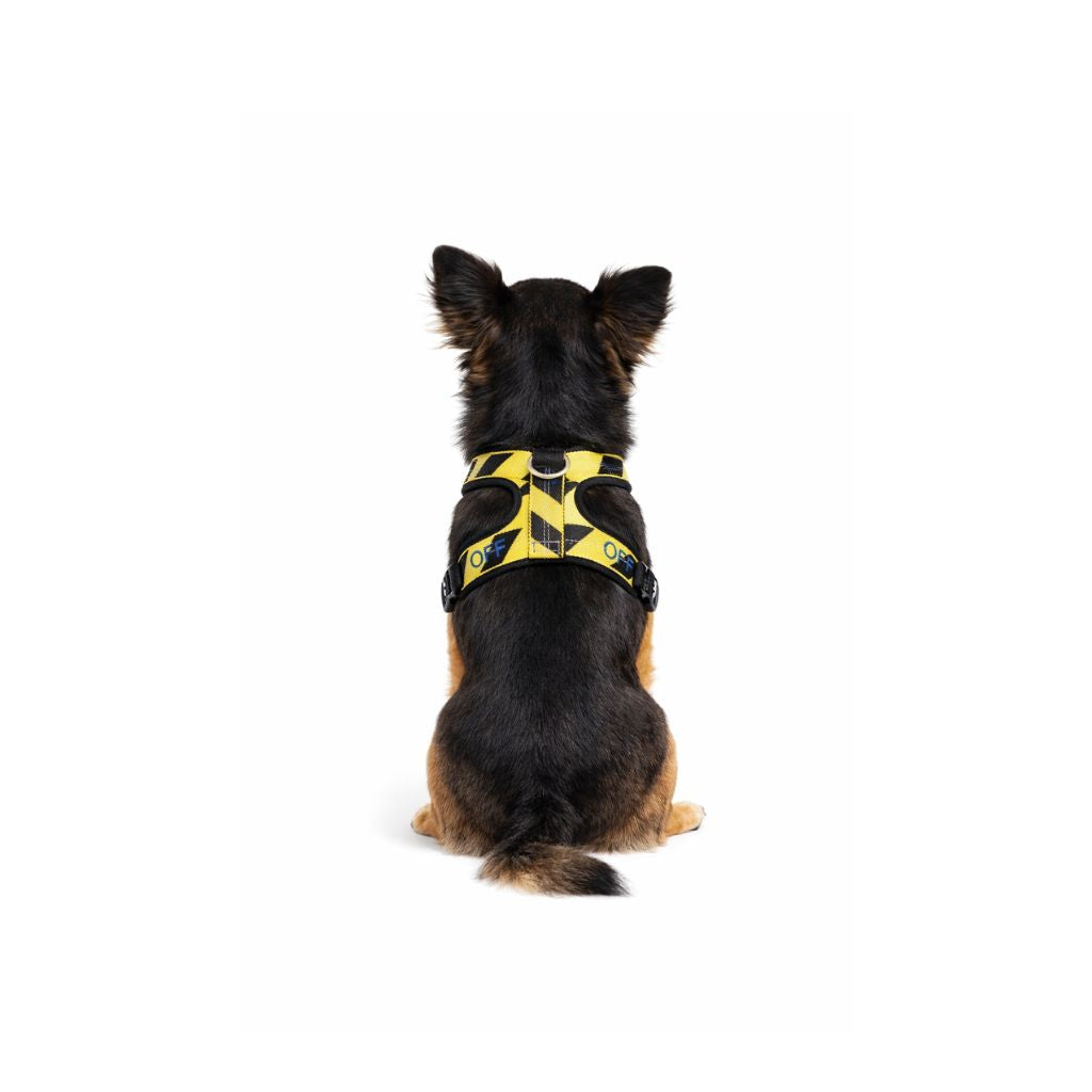 Yellow and black harness - mod. Off 