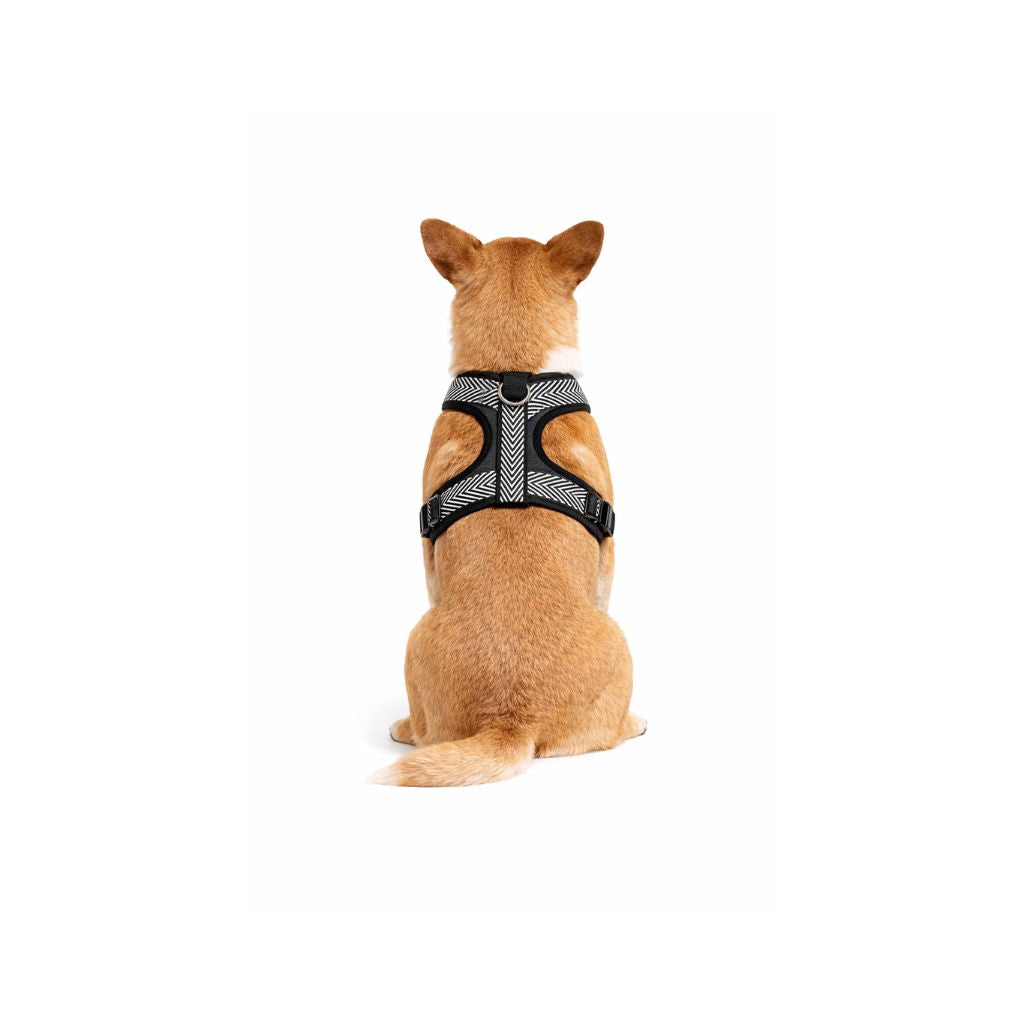 Pettorina bianca e nera - mod. Tiana