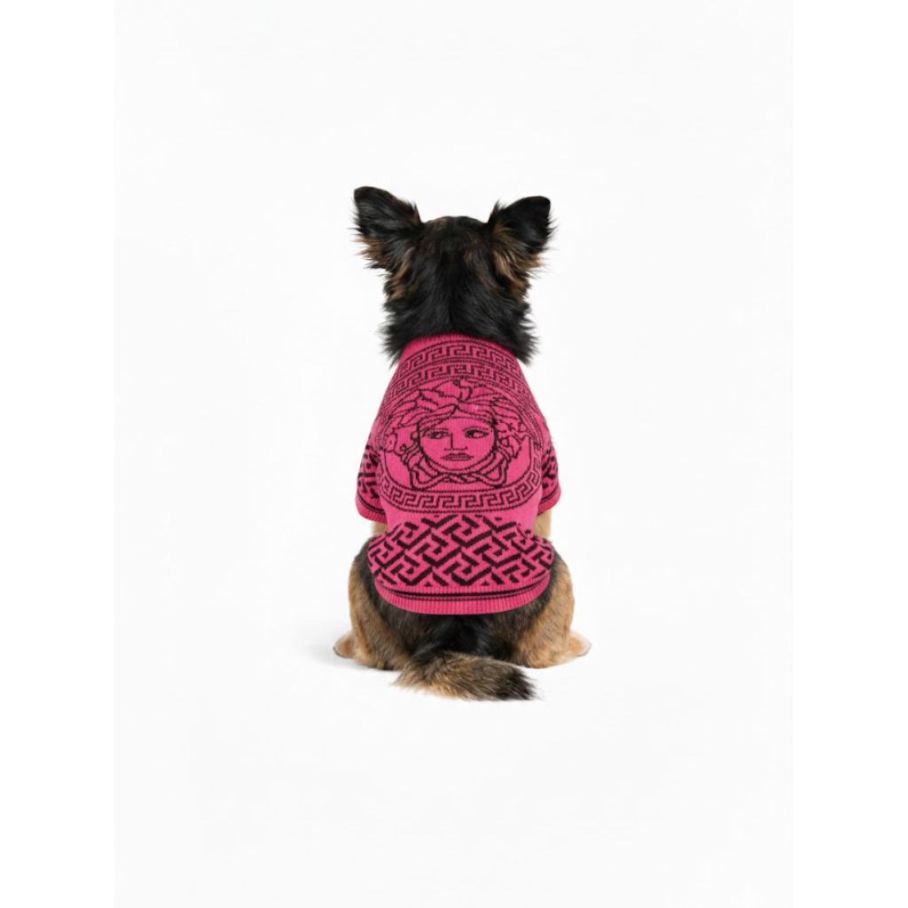 Eleganter Hundepullover - Beige - Luxus