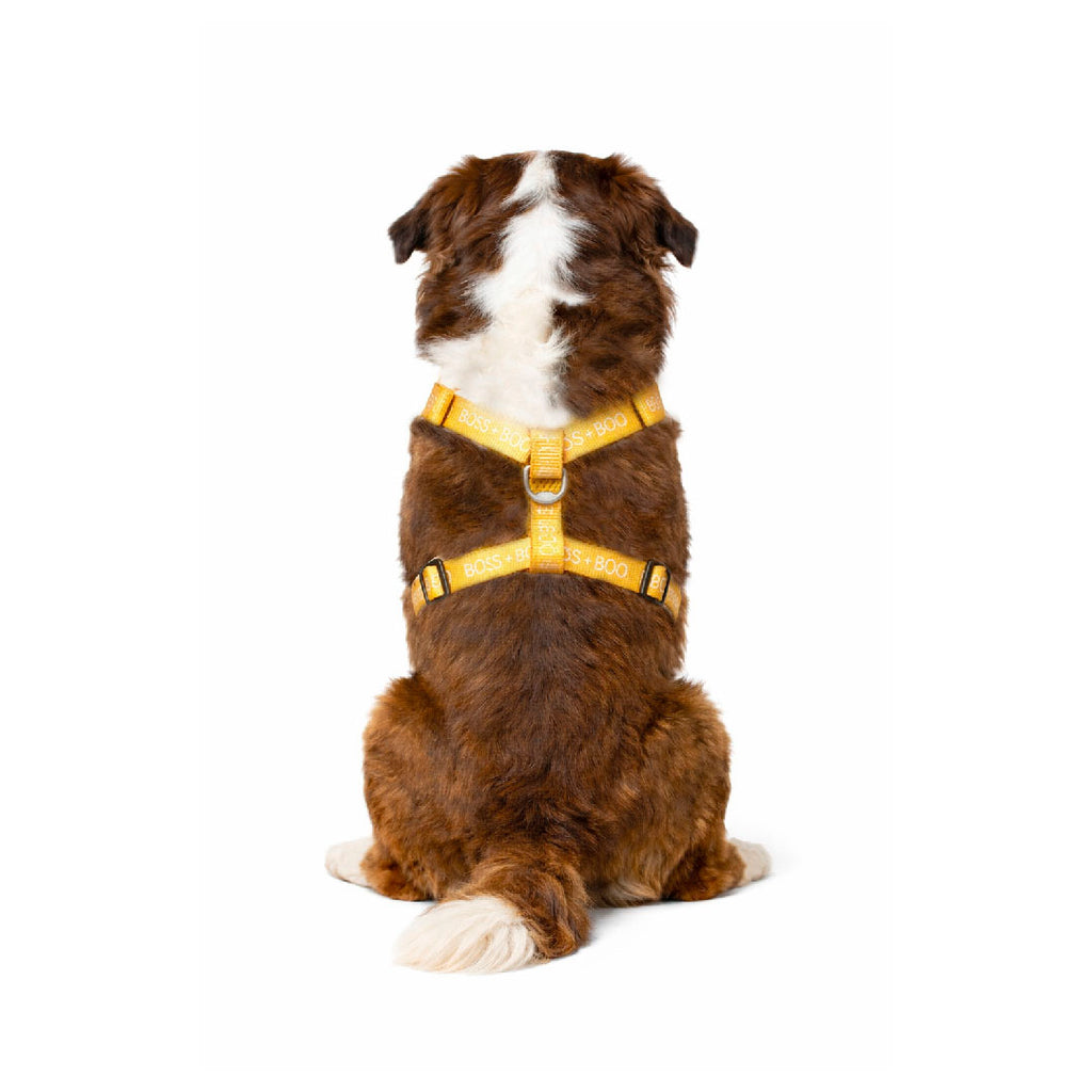 You're so golden harness - brand Boss &amp; Boo 