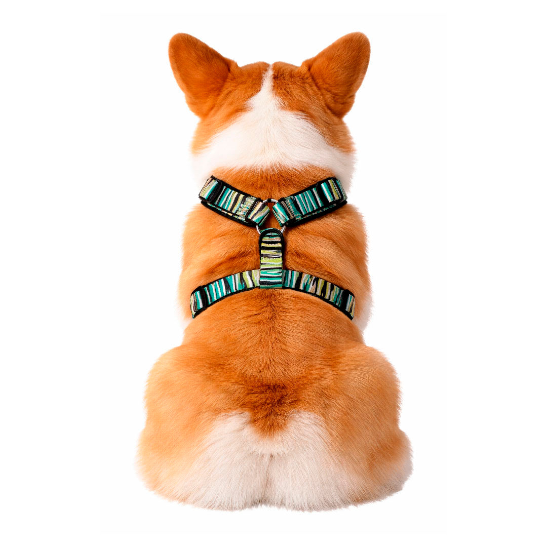 Pettorina regolabile ZEBRA - Bullosetti