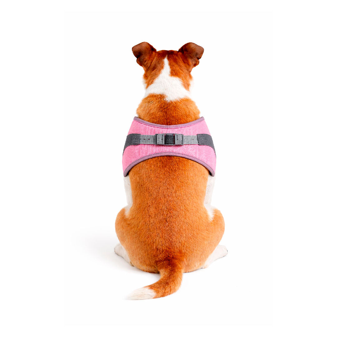 Pettorina traspirante rosa - mod. Daisy