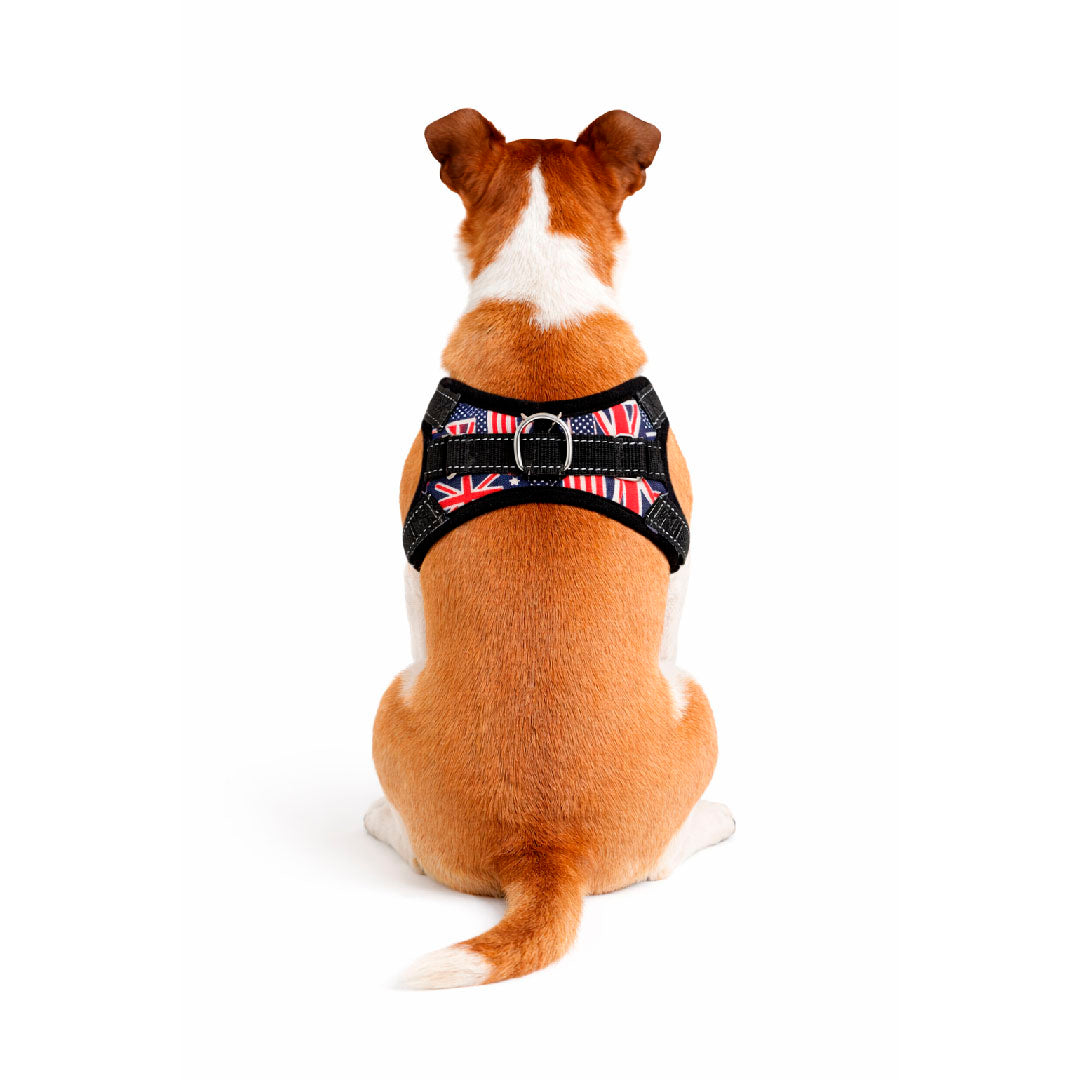 Pettorina American - per cani da 2 a 40kg