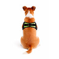 Greenlight harness - for dogs from 2 to 40kg