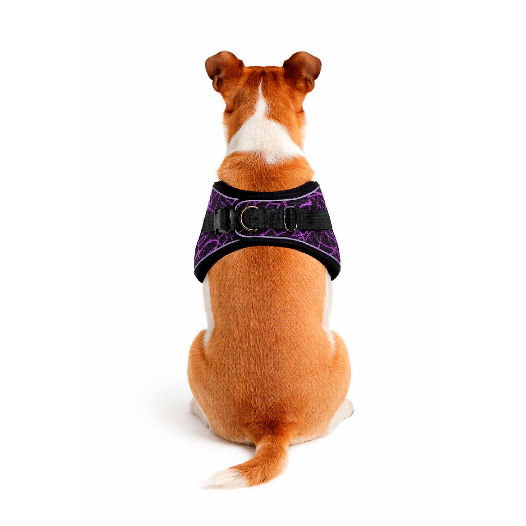 Green, purple and gray harness - mod. Spark 