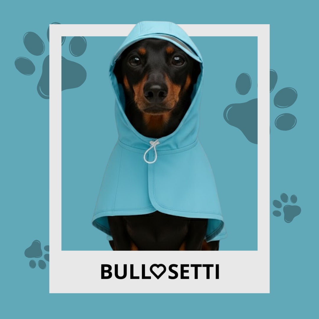 Bullosetti spotted raincoat - with sleeves and hood - black and green