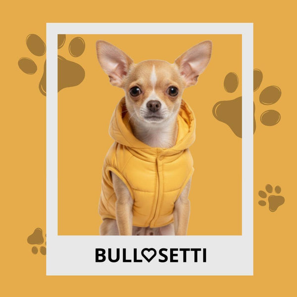 Caldo smanicato con cappuccio - mod.Casius - ecosostenibile - ocra