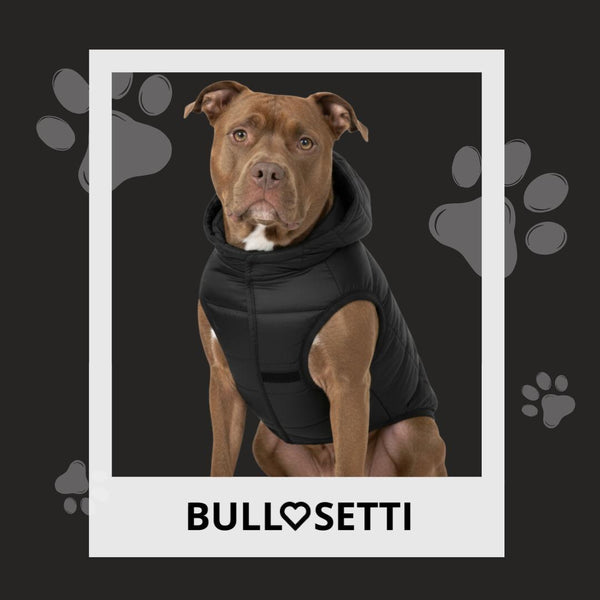 Caldo smanicato con cappuccio - mod.Casius - ecosostenibile - nero