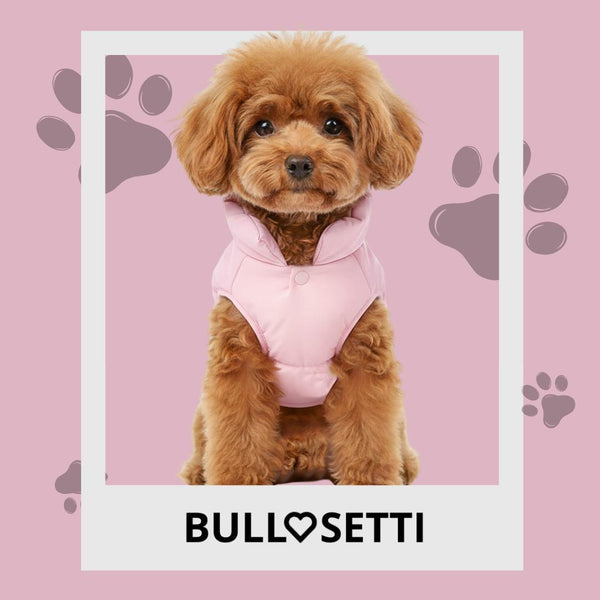 Smanicato bomber rosa - mod. Ottavia - per cani di taglia piccola e media