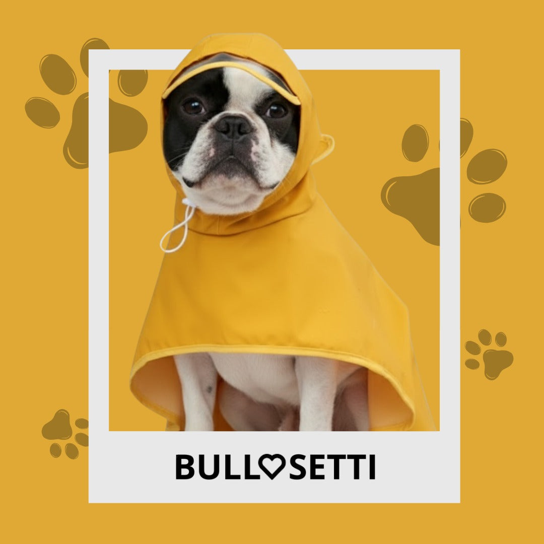 Bullosetti spotted raincoat - with sleeves and hood - black and green