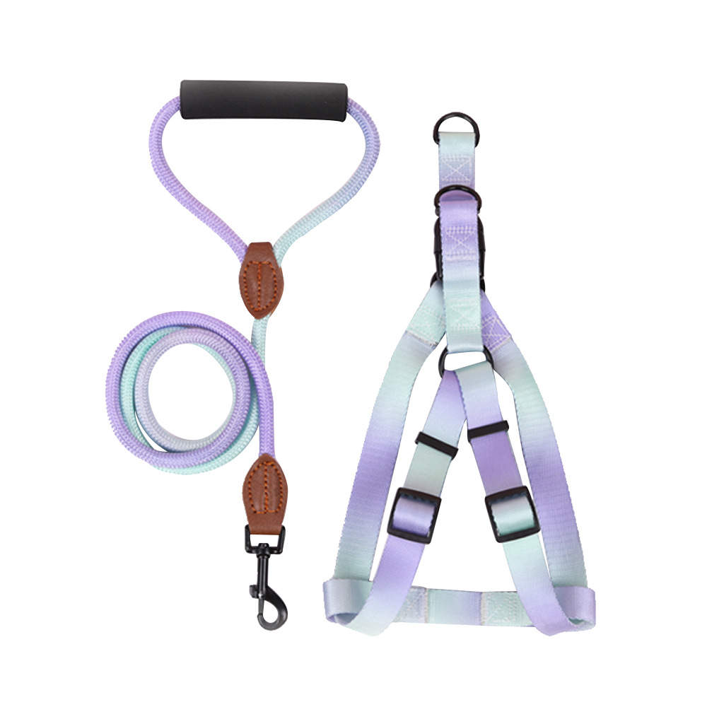 [SET] Pettorina + guinzaglio - nylon - mod. Melody