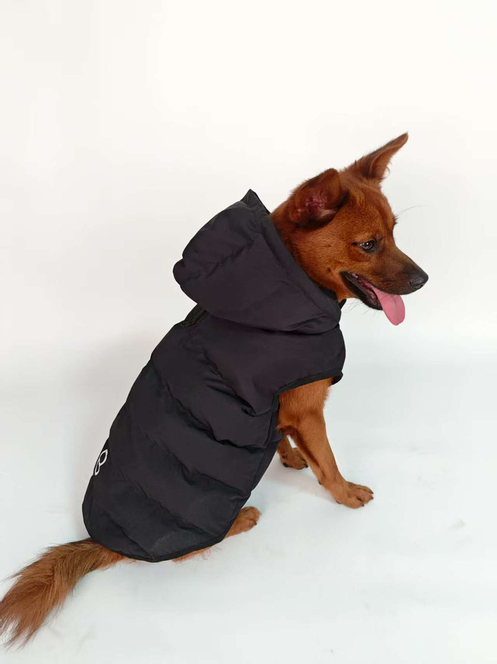 Caldo smanicato con cappuccio - mod.Casius - ecosostenibile