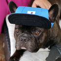 Dog hat - 3 sizes - 2 colours