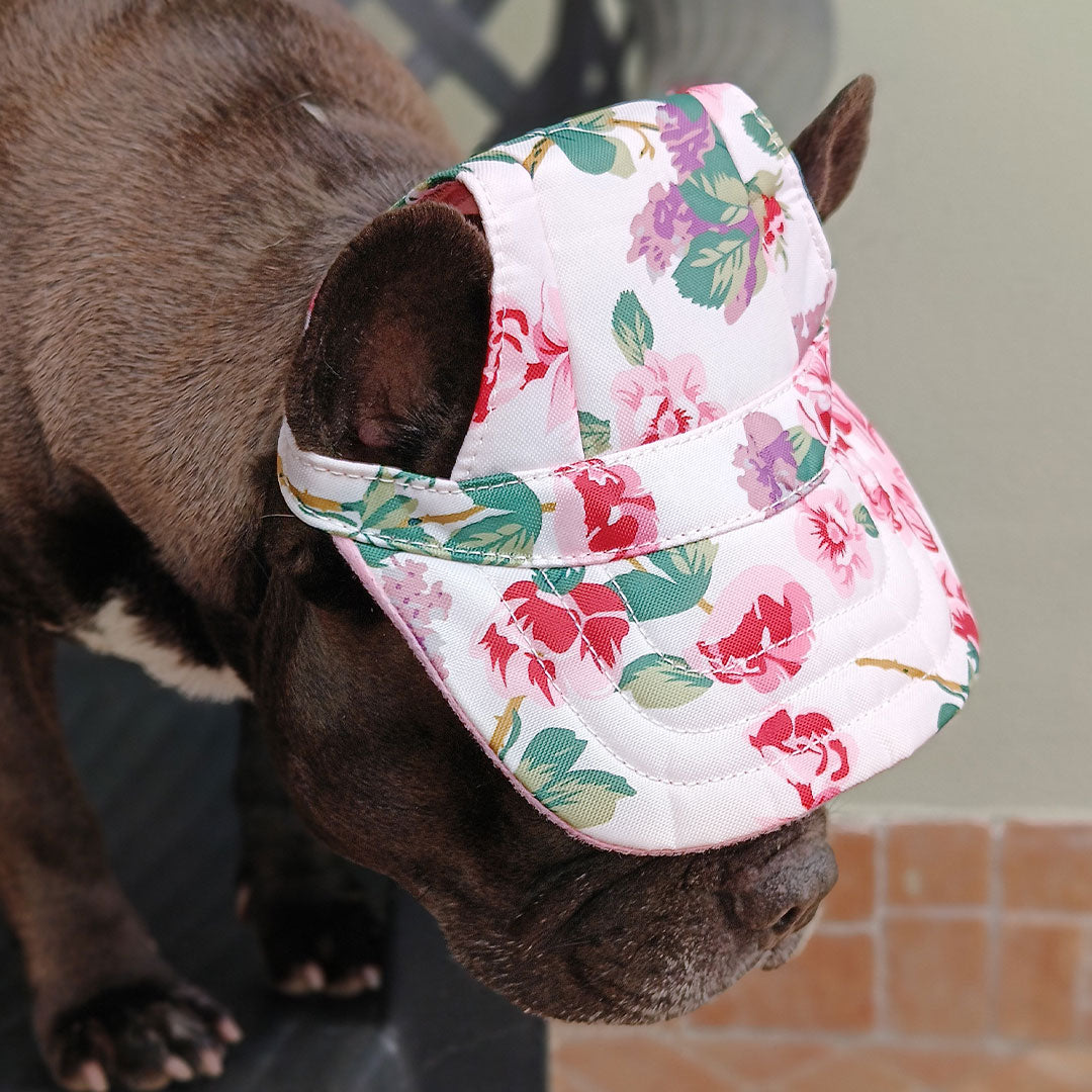 Hundemütze – 3 Größen – 2 Farben